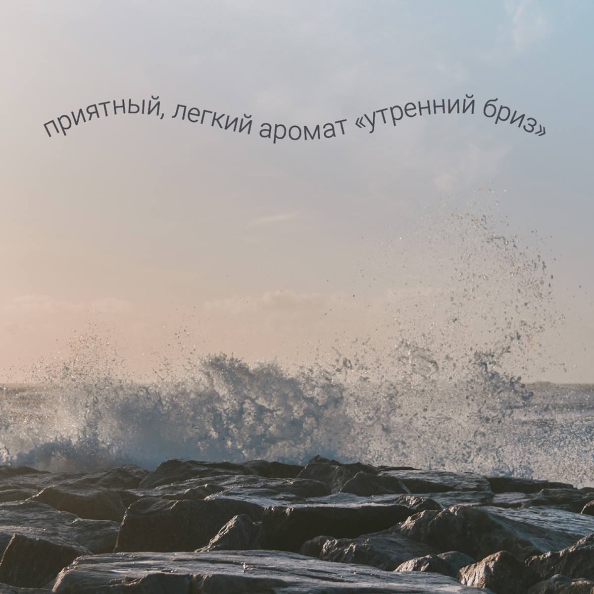 Гель для мытья пола Hausmann универсальный 1л фото 5